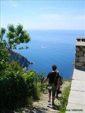 by elena_valeriote, Views[376]