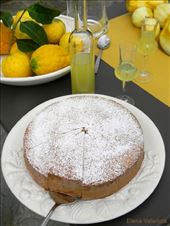 by elena_valeriote, Views[317]