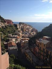 by elena_valeriote, Views[380]