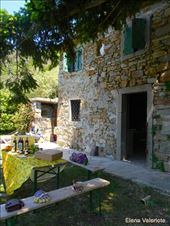 by elena_valeriote, Views[388]