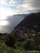 by elena_valeriote, Views[392]