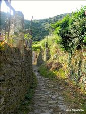 by elena_valeriote, Views[619]