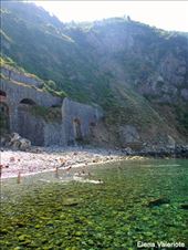 by elena_valeriote, Views[623]