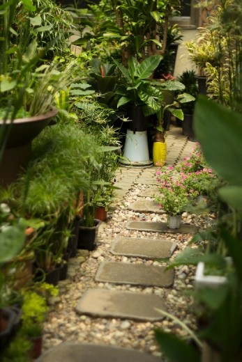 Yangjae Flower Market: Green Path