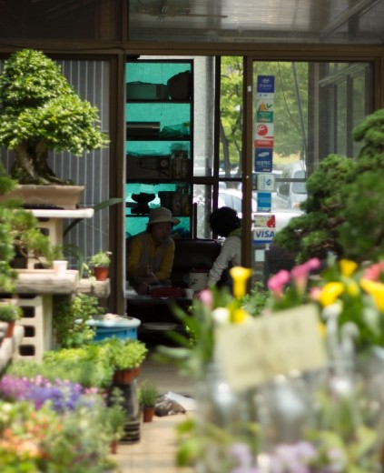 Yangjae Flower Market: Lunch Time
