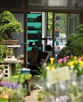 Yangjae Flower Market: Lunch Time: by elenaemelianova, Views[335]