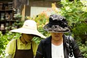 Yangjae Flower Market: Hiding Hats : by elenaemelianova, Views[226]