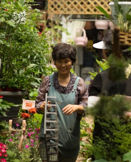 Yangjae Flower Market: Happy work