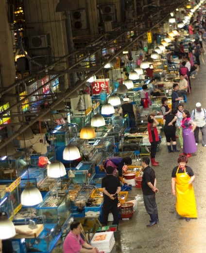 Noryanjin Fish Market: Fish Line