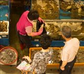 Noryanjin Fish Market: Yes, That Chattering Crab, Please : by elenaemelianova, Views[189]