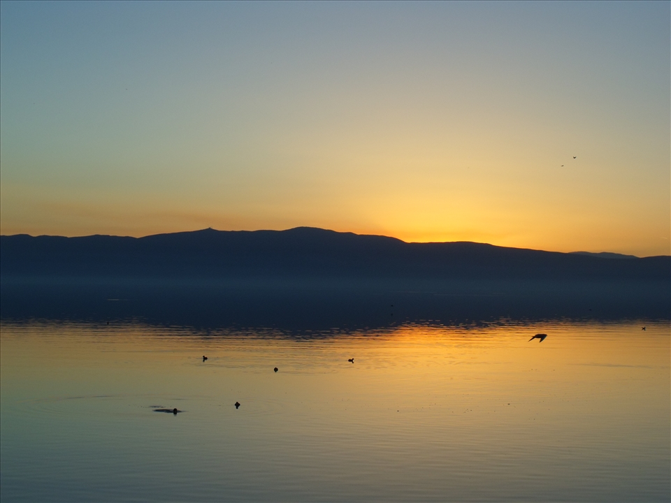 Seagulls know how to enjoy sunsets. Funny how nature finds harmony with all.