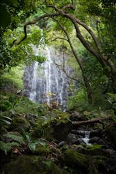 hawaii: by elftastic, Views[224]