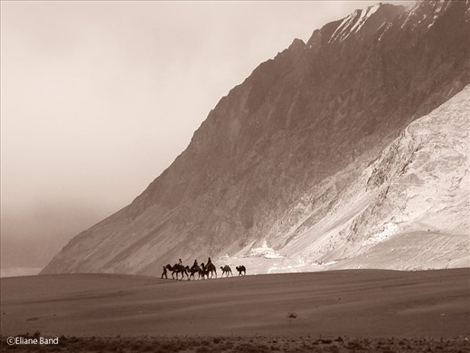 Deserts, rocks,and space are the beauty and struggle in Ladakh