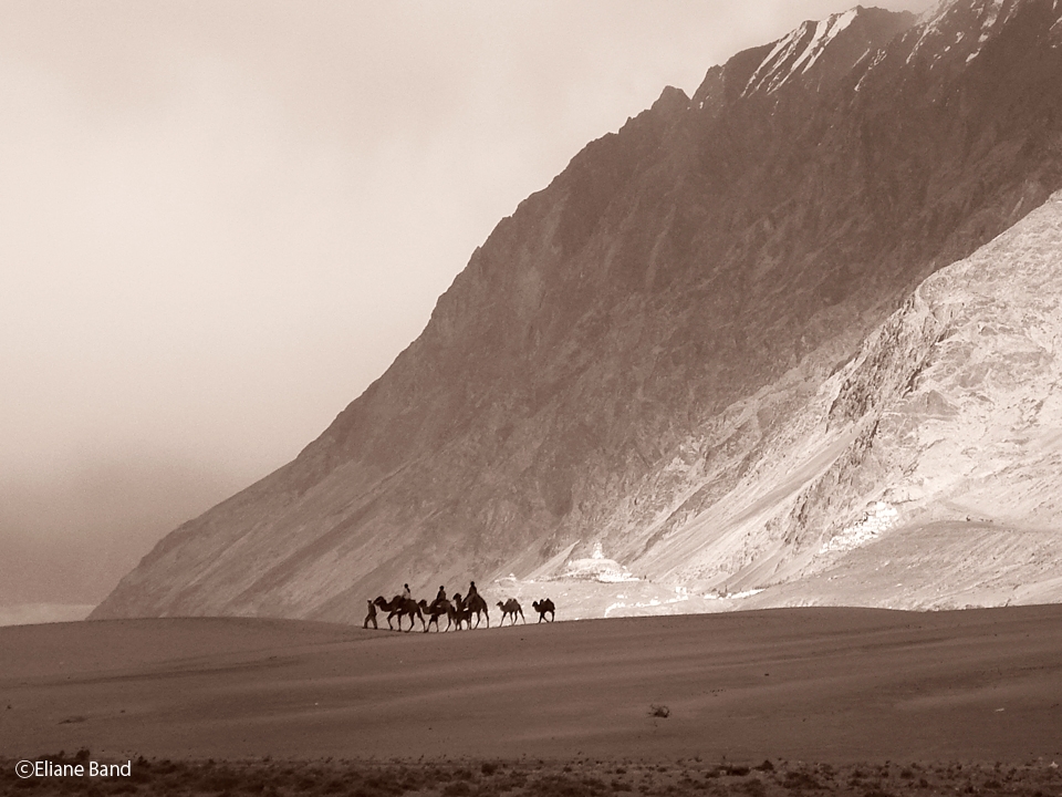 Deserts, rocks,and space are the beauty and struggle in Ladakh