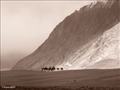 Deserts, rocks,and space are the beauty and struggle in Ladakh: by elianeband, Views[383]