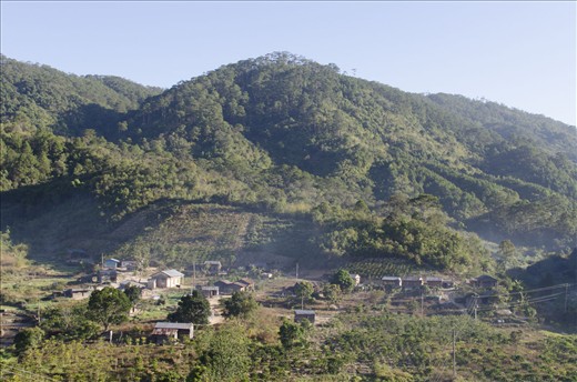 My unintentional home stay.