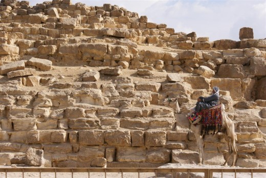 Taking a tourist break with his camel, 2 weeks before protests.