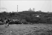 The Jungle: a refugee squatted barren piece of land next to a factory.: by elinevannes, Views[299]