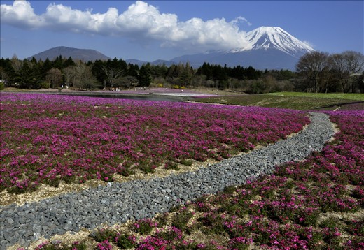 A national symbol of Japan, Mt Fuji stands at 12,389 ft.  There's a famous Japanese saying 
