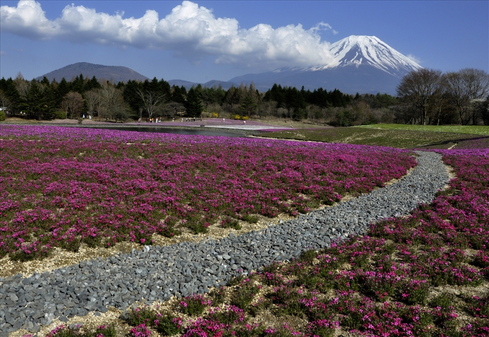 A national symbol of Japan, Mt Fuji stands at 12,389 ft.  There's a famous Japanese saying 