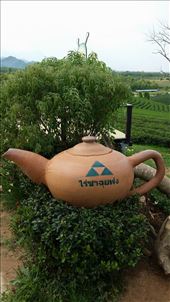 by eliserininger, Views[164]