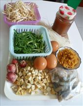 by eliserininger, Views[147]