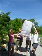 by eliserininger, Views[179]