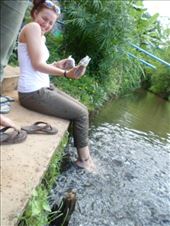 by eliserininger, Views[128]