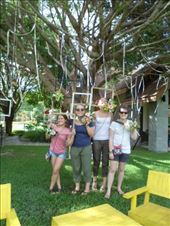 by eliserininger, Views[160]