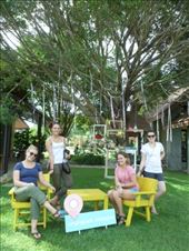 by eliserininger, Views[212]