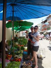 by eliserininger, Views[158]