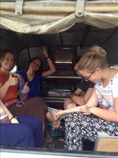 by eliserininger, Views[225]