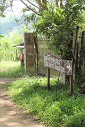 by eliserininger, Views[144]