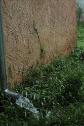 by eliserininger, Views[177]