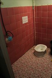 by eliserininger, Views[142]