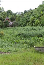 by eliserininger, Views[150]