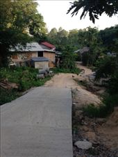 by eliserininger, Views[223]