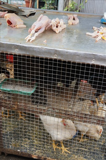 Its kind a horrible place, everyday just like option between death or life