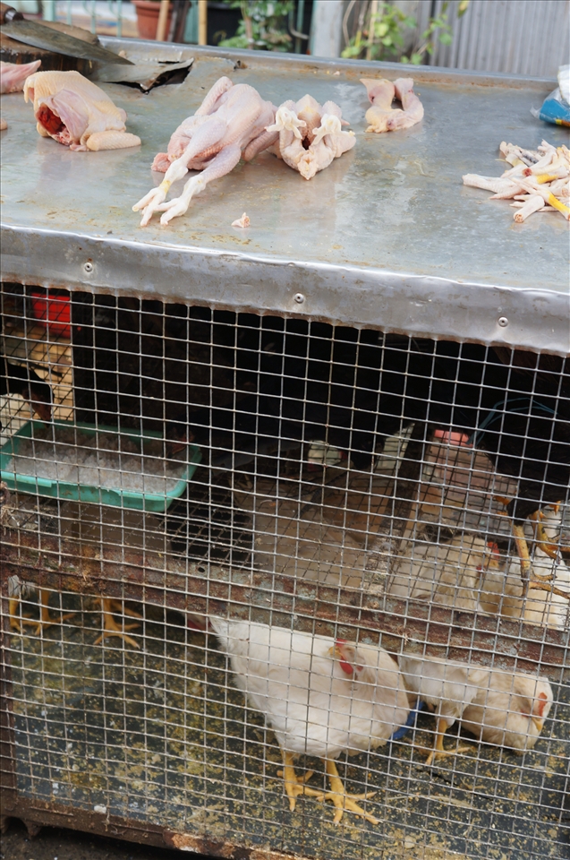 Its kind a horrible place, everyday just like option between death or life