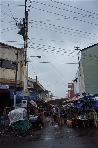 Too many cable that passing by on the upside is a sign of diverse life