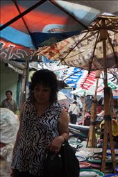 Just Seeing Around, will go home after everything done: by elisheva, Views[355]