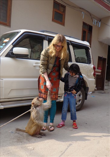 the Monkey Dance story