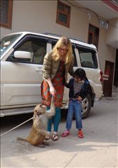 the Monkey Dance story: by eliza3514, Views[469]