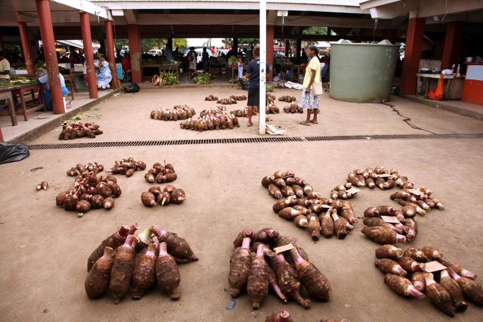 The market place. Here you would find anything from squid to dodgy looking things that is their food. These on the floor are a vegetables.The people will sit here sell their goods and this also becomes their social life.