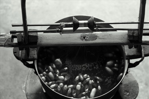 “The Temperamental Cocoon Soup” – This is where the quest to find the one true thread begins. Women armed with chopsticks cleverly and exquisitely pull the thread from each cocoon and feed it through the reel. My host explained that the technologically advanced machine has been passed down from her great grandparents. “When I was a little girl this was my job, now I can do it with my eyes closed”, she joked. The water is then saved as local women prize it as a skin moisturiser.