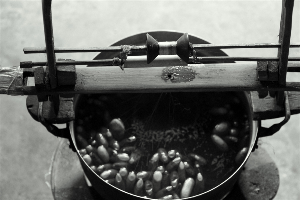“The Temperamental Cocoon Soup” – This is where the quest to find the one true thread begins. Women armed with chopsticks cleverly and exquisitely pull the thread from each cocoon and feed it through the reel. My host explained that the technologically advanced machine has been passed down from her great grandparents. “When I was a little girl this was my job, now I can do it with my eyes closed”, she joked. The water is then saved as local women prize it as a skin moisturiser.