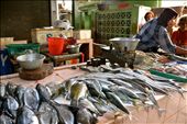 Title: Fresh Catch of the Day
Caption:Fish is a huge part of Indonesian dishes. One of the dishes we were learning to cook was called Mangut Ikan, battered fish served in a spicy coconut broth with greens and tomatoes. This woman offered a variety of types of fish and filleted the fish right in front of your eyes.  : by ellbehindthelens, Views[970]