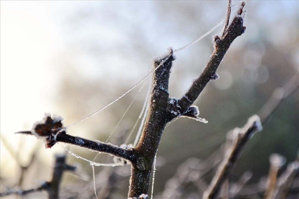 But I soon saw my new home had beautiful secrets of its own to share