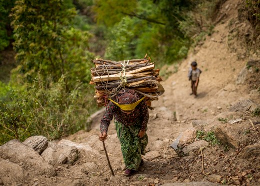 Living off of the land is strenuous and all members of a family contribute to the daily work. This woman gathers lumber for cooking and heating purposes during the frigid mountain nights