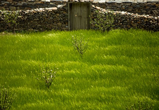 The climates in Nepal range from the infamous peaks of the world's highest mountains to sweltering jungles. The Nepalese exhibit beauty and harmony in much they do, interacting with the all of their surroundings that can both kill climbers and bestow them with food. 
